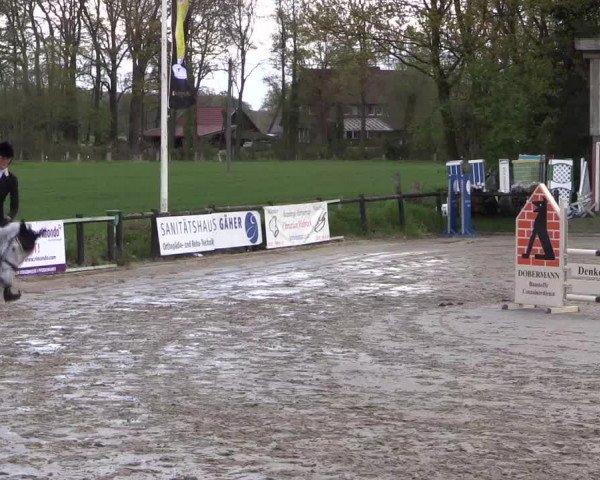 Reitturnier Havixbeck 2016