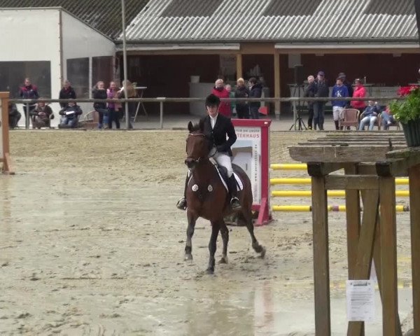 Reitturnier Xanten - Moermter 2016