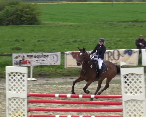 Reitturnier Xanten - Moermter 2016