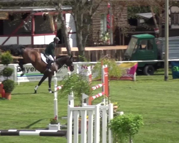 Reitturnier Greppin 2016