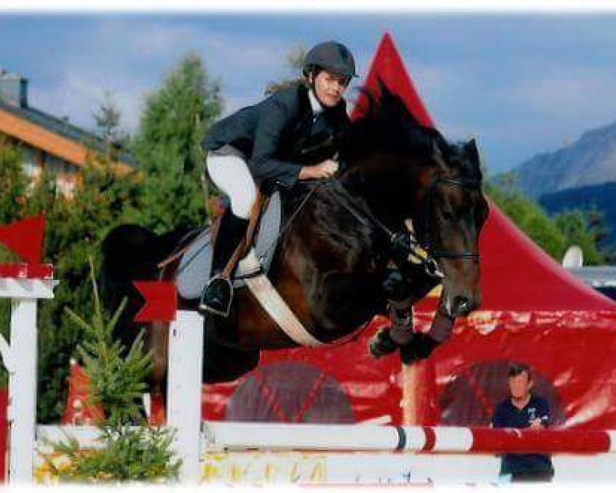 broodmare Brumeuse du Record (Swiss Warmblood, 1997, from Libero H)