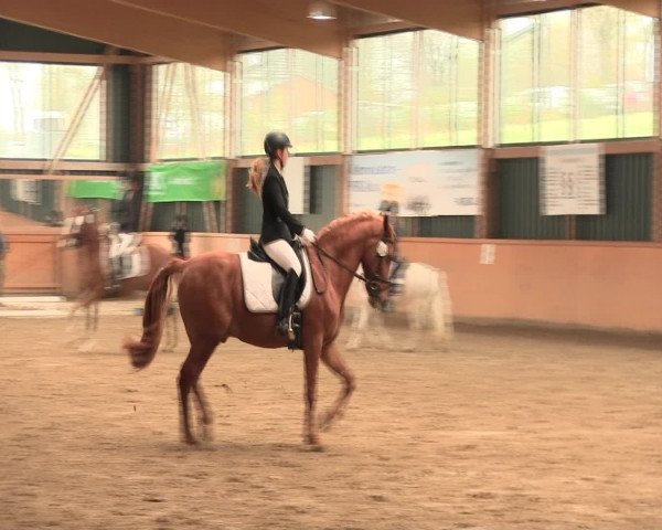 Reitturnier Iserlohn-Süd 2016