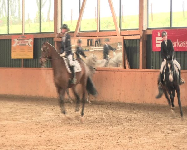 Reitturnier Iserlohn-Süd 2016