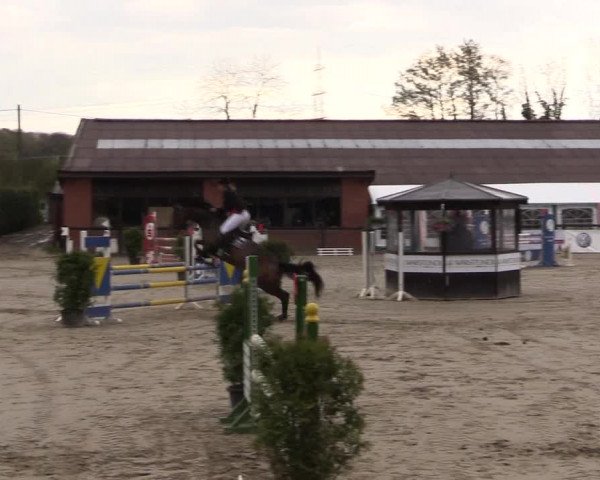 Reitturnier Havixbeck 2016