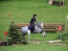 Zuchtstute Donna Emilia 6 (Deutsches Reitpony, 2011, von Dream of Lord)