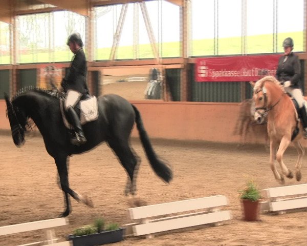 Reitturnier Iserlohn-Süd 2016
