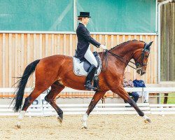 dressage horse Don Lorthino (Zweibrücken, 2002, from Donnerprinz)