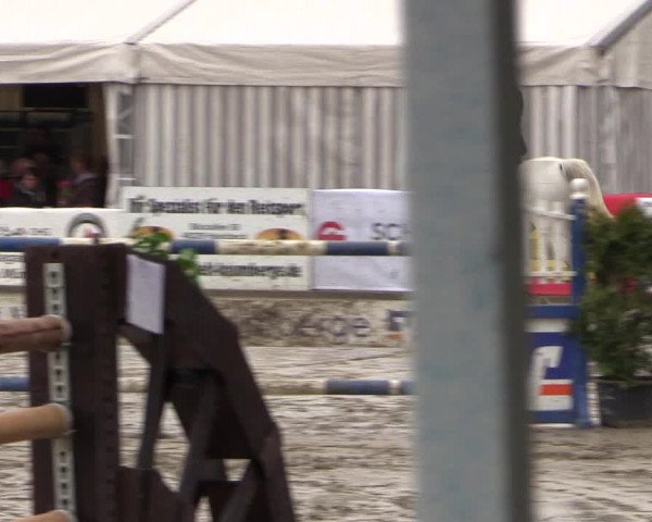Reitturnier Havixbeck 2016