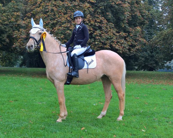 dressage horse Sissi 852 (French Pony, 2012, from Qatar)