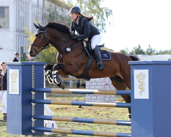 jumper Chupito S (German Sport Horse, 2011, from Casdorff)