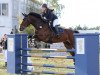 jumper Chupito S (German Sport Horse, 2011, from Casdorff)