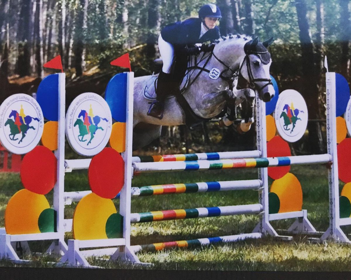Springpferd Woody Woodpaker (Schweizerisches Reitpony, 2015, von Dexter Leam Pondi)
