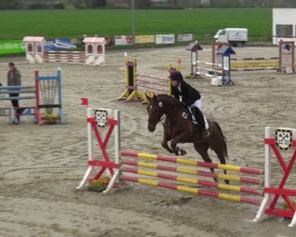 Reitturnier Xanten - Moermter 2016