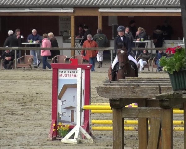 Reitturnier Xanten - Moermter 2016