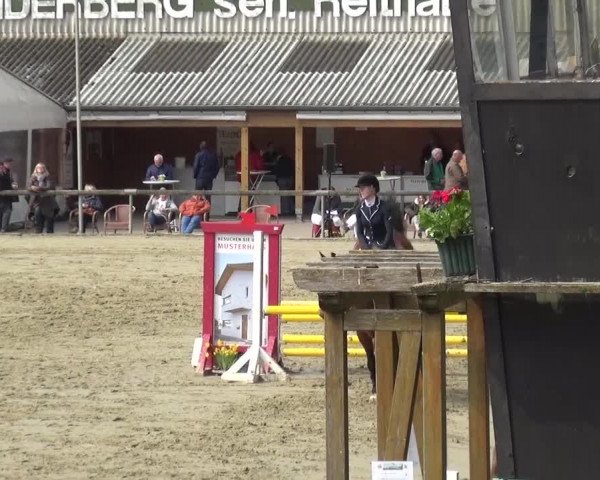 Reitturnier Xanten - Moermter 2016