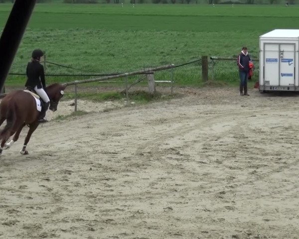 Reitturnier Xanten - Moermter 2016
