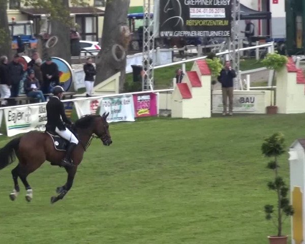 Reitturnier Greppin 2016