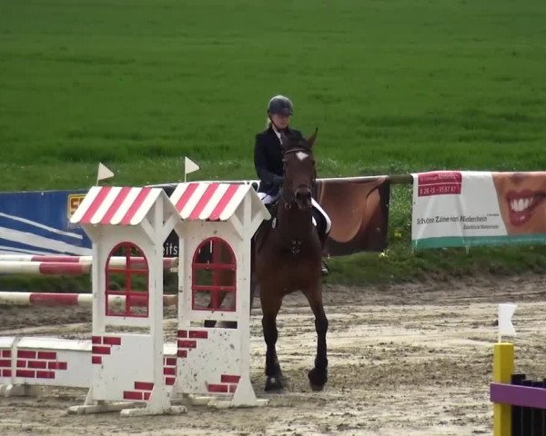 Reitturnier Xanten - Moermter 2016