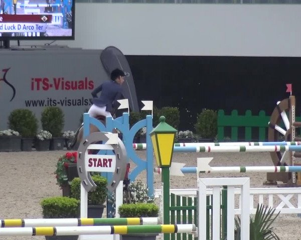 FEI Reitturnier Aachen (GER) 2016