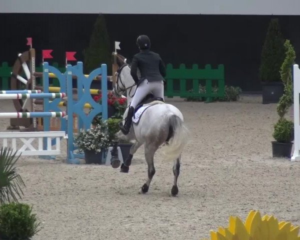 FEI Reitturnier Aachen (GER) 2016