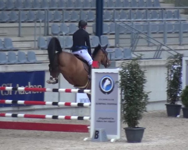 FEI Reitturnier Aachen (GER) 2016
