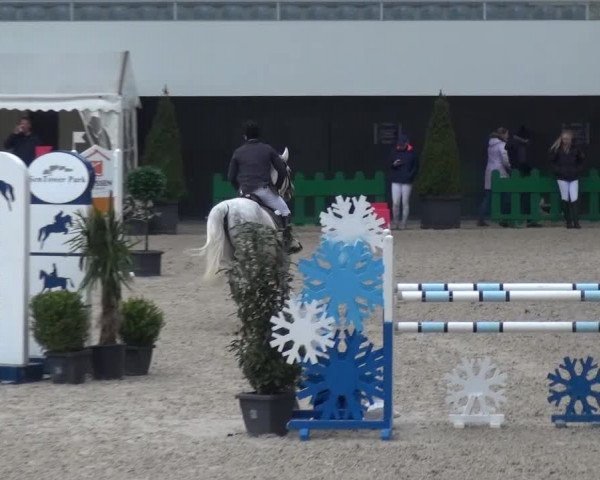 FEI Reitturnier Aachen (GER) 2016