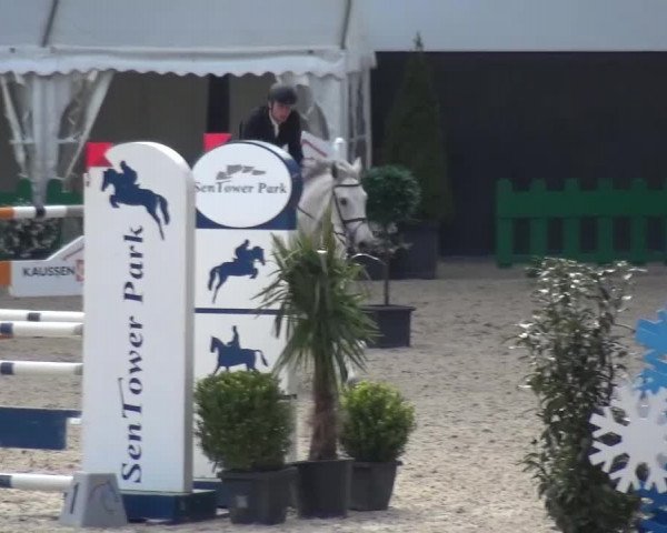 FEI Reitturnier Aachen (GER) 2016