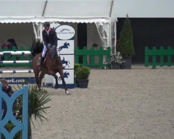 FEI Reitturnier Aachen (GER) 2016