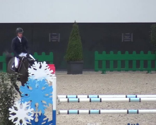 FEI Reitturnier Aachen (GER) 2016