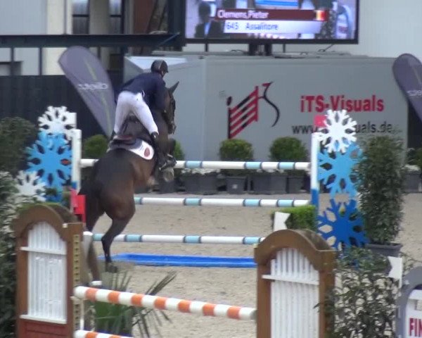 FEI Reitturnier Aachen (GER) 2016