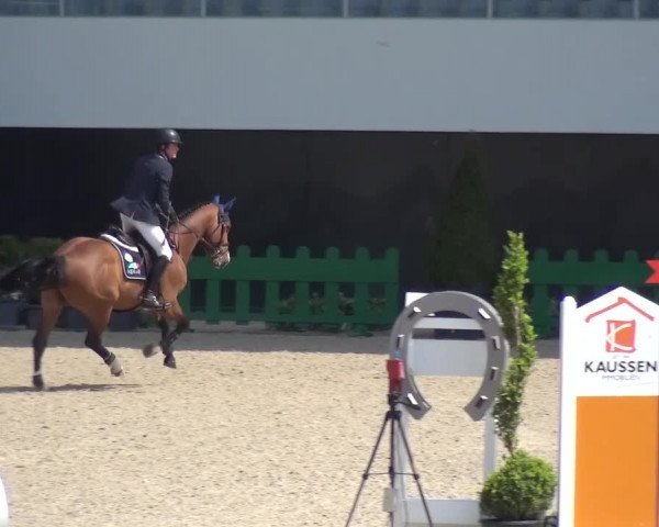 FEI Reitturnier Aachen (GER) 2016