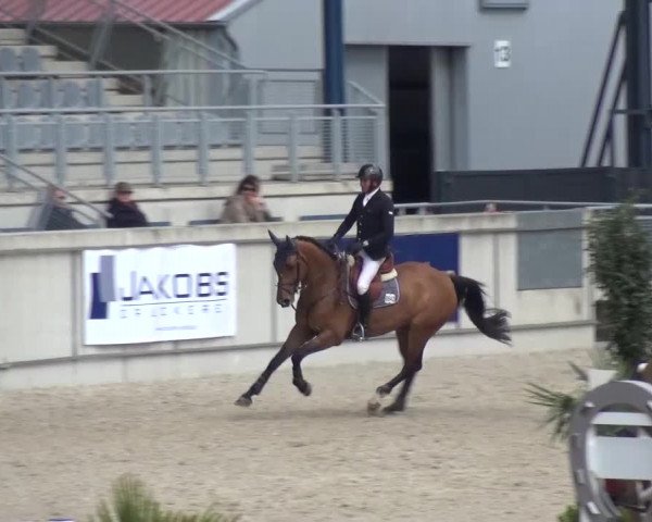 FEI Reitturnier Aachen (GER) 2016