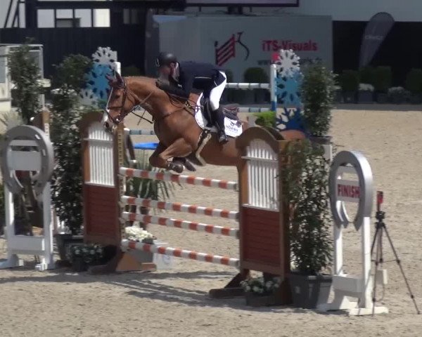 FEI Reitturnier Aachen (GER) 2016