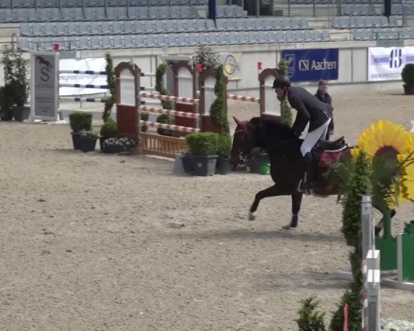 FEI Reitturnier Aachen (GER) 2016