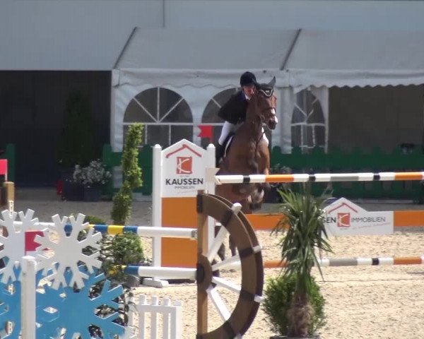 FEI Reitturnier Aachen (GER) 2016
