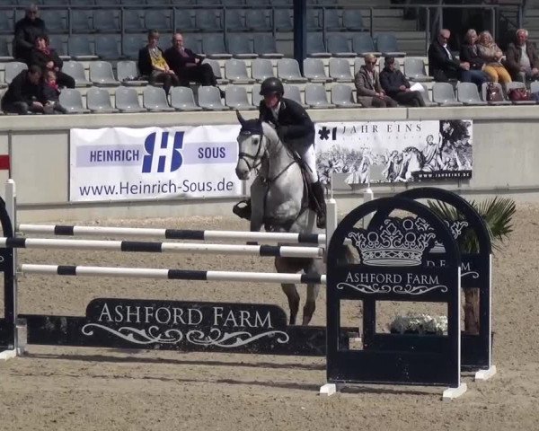 FEI Reitturnier Aachen (GER) 2016