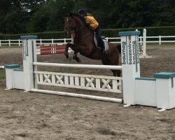 dressage horse Snow (unknown, 2007)