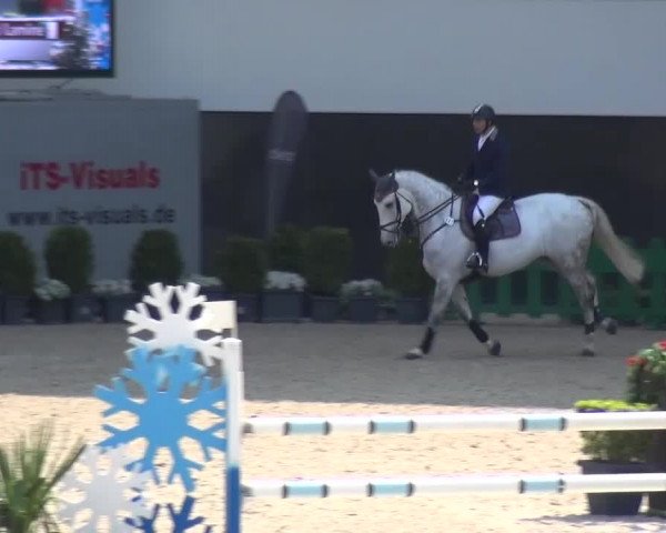 FEI Reitturnier Aachen (GER) 2016