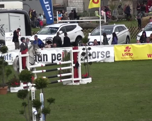 Reitturnier Greppin 2016