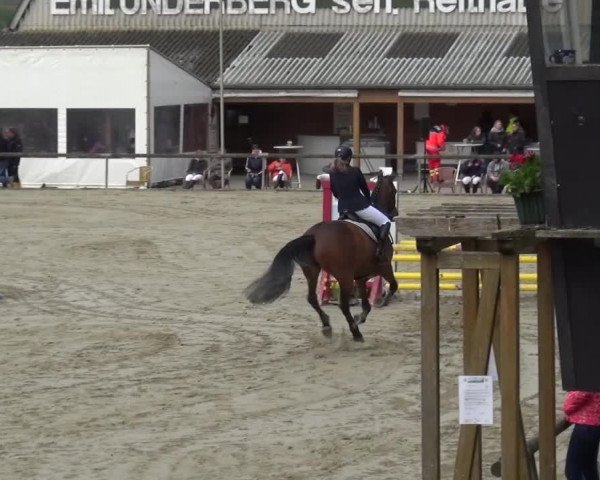 Reitturnier Xanten - Moermter 2016
