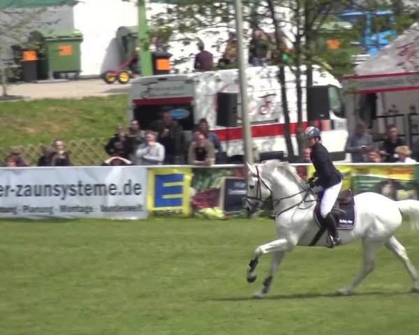 Reitturnier Greppin 2016