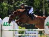 broodmare Pompadour du Rouet (Oldenburg show jumper, 2004, from Balou du Rouet)