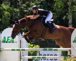 broodmare Pompadour du Rouet (Oldenburg show jumper, 2004, from Balou du Rouet)