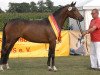 broodmare Happyness WE (German Riding Pony, 2009, from Orchard Boginov)