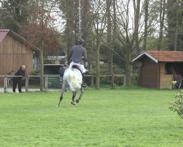 Reitturnier Lienen 2016