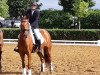 dressage horse Ziva Min Zansibar (German Sport Horse, 2015, from Zansibar)