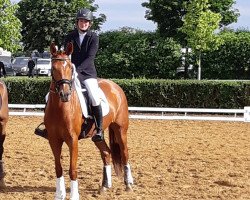 dressage horse Ziva Min Zansibar (German Sport Horse, 2015, from Zansibar)