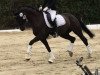 dressage horse Purple rain (Westphalian, 2012, from Pik Labionics)