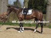 Springpferd Dreamboy 60 (Deutsches Reitpony, 2013, von Dumbledor AT)