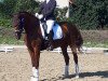 dressage horse Diva Royal (Hanoverian, 2016, from Blue Hors Dreamline)